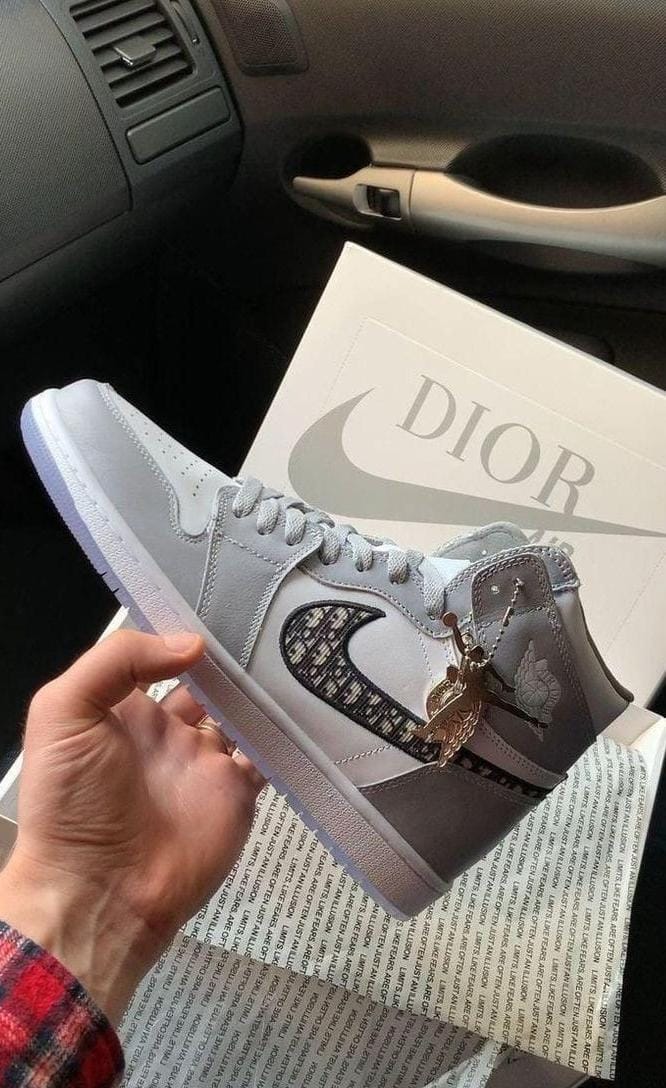 Air Retro High x Dior